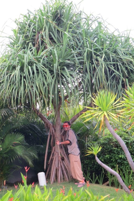 Basel and our beautiful villa tree