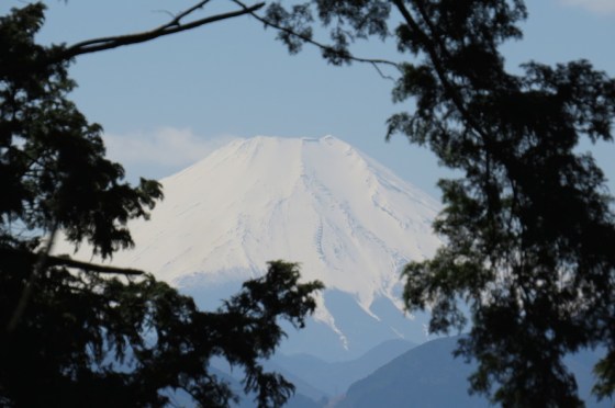 View of Mt. Fuji from Mt. Takao, Japan