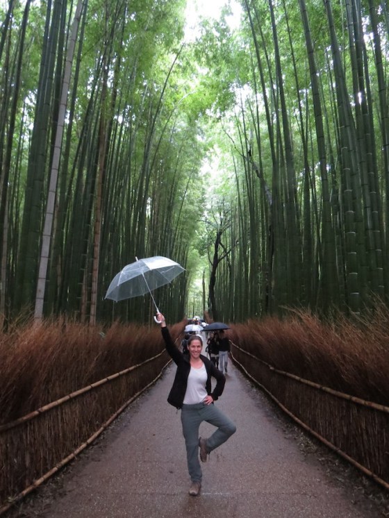 Bamboo grove, Kyoto